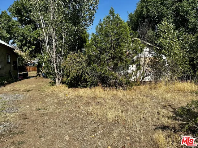 a view of a yard with trees