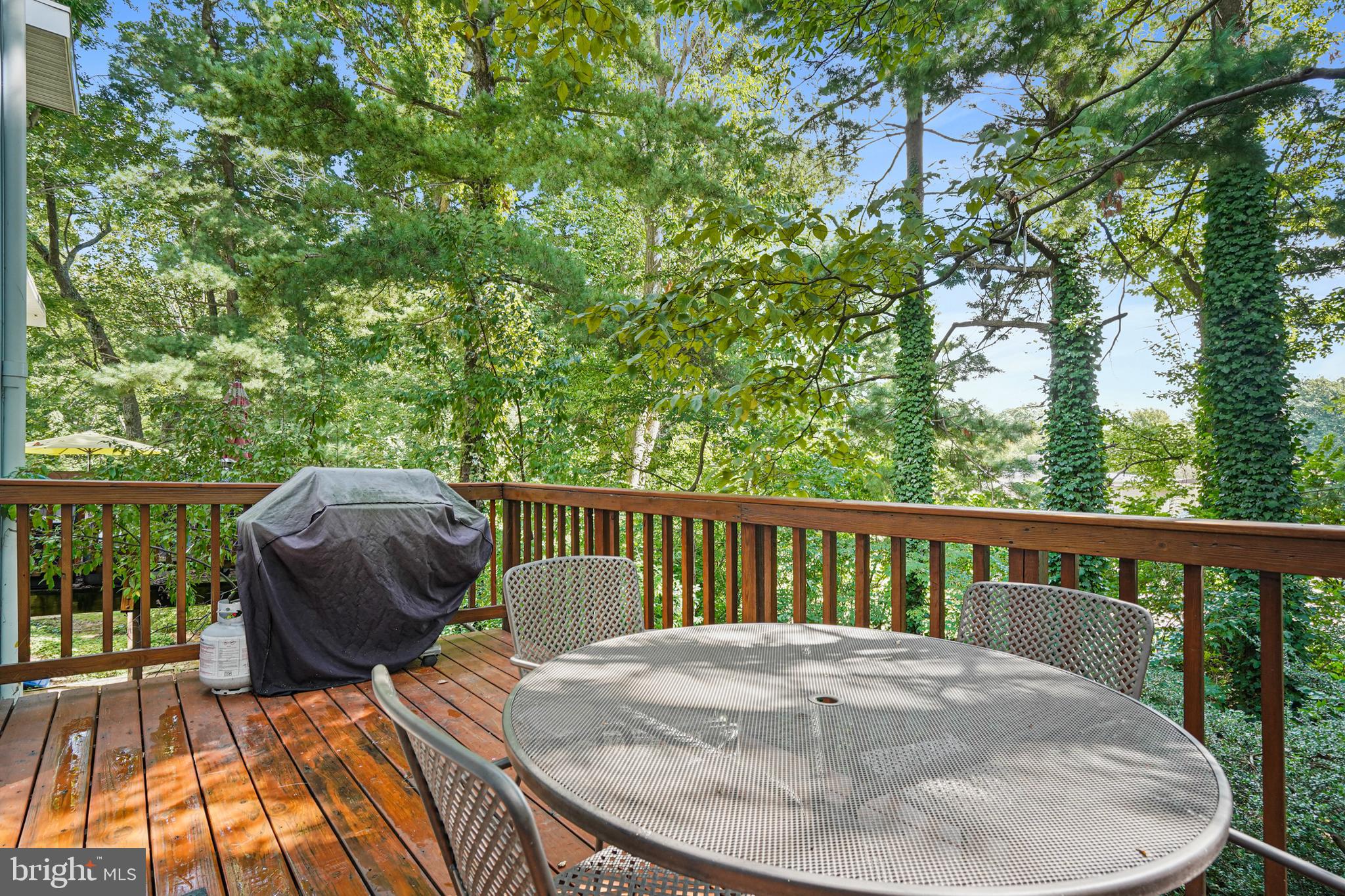 1650 Wainwright Drive Reston, VA 20190 - Photo 17 of 52 Grill your favorite foods