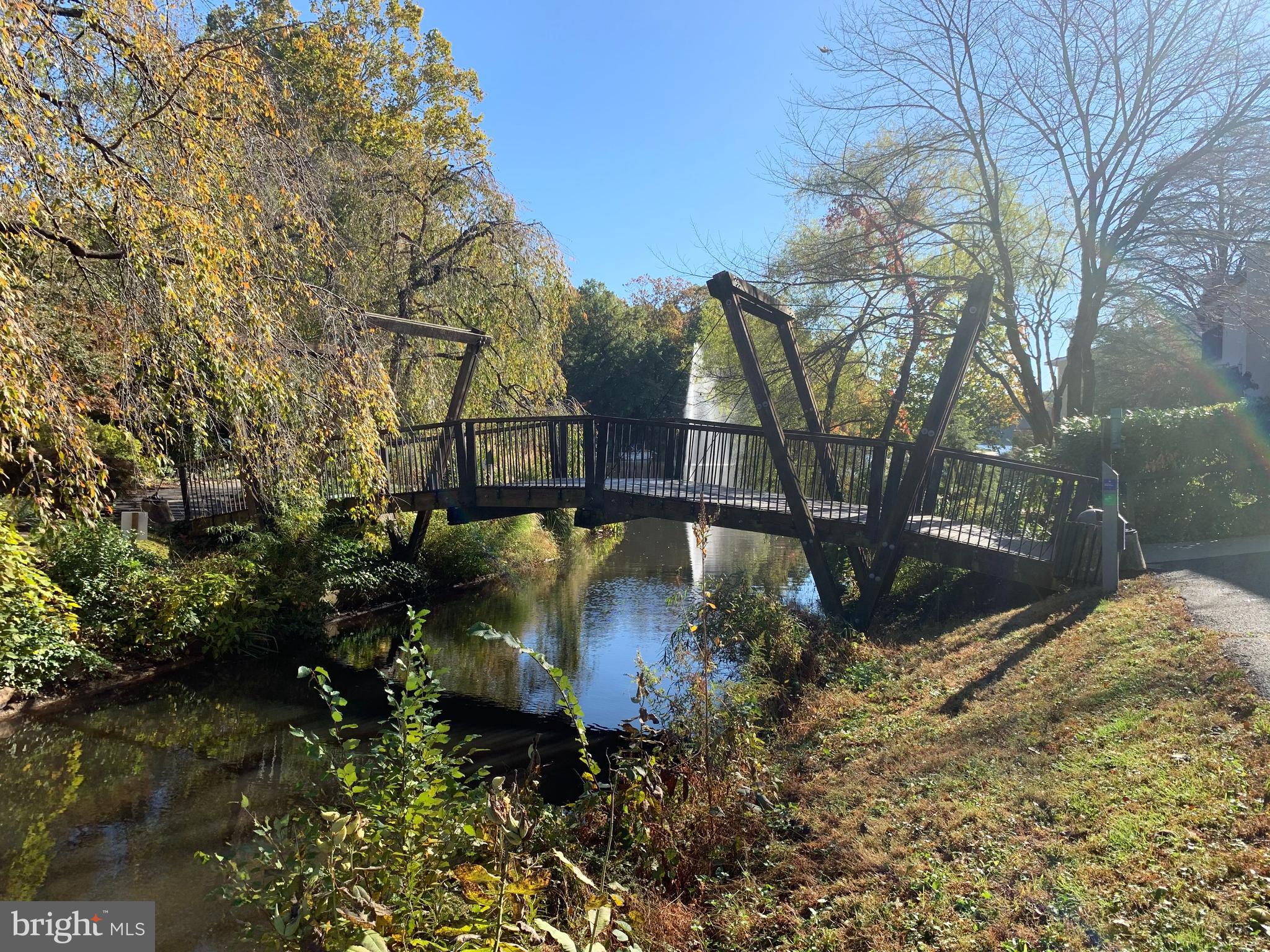 1650 Wainwright Drive Reston, VA 20190 - Photo 43 of 52 Van Gogh Bridge in the Fall--just a short distance