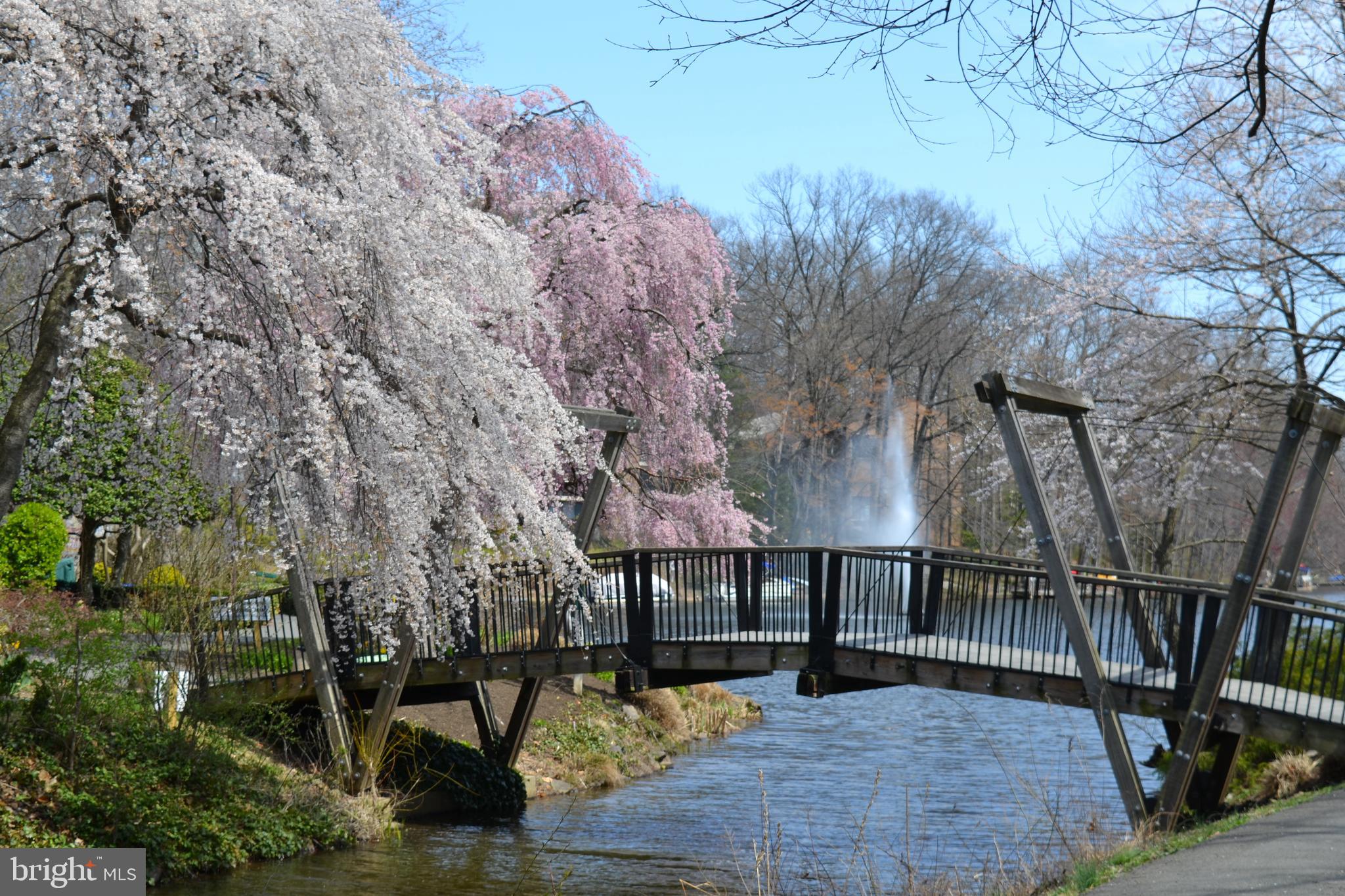 1650 Wainwright Drive Reston, VA 20190 - Photo 44 of 52 Van Gogh Bridge in the Spring