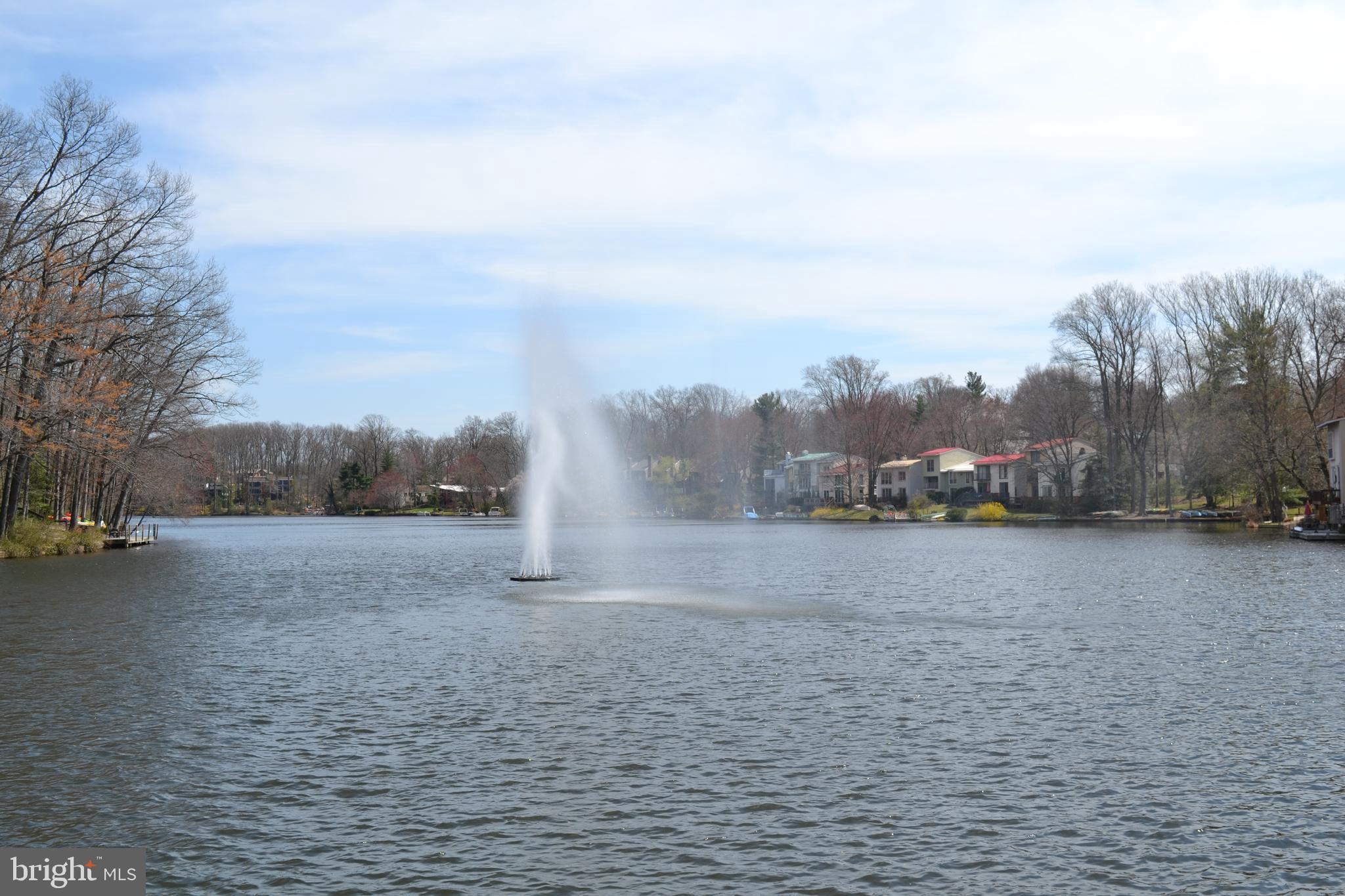 1650 Wainwright Drive Reston, VA 20190 - Photo 46 of 52 Fountain on Lake Anne
