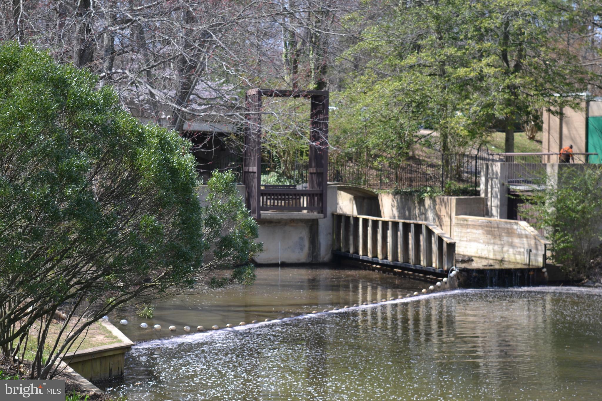 1650 Wainwright Drive Reston, VA 20190 - Photo 47 of 52 Swing along the path