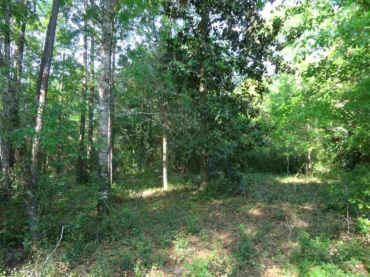 0 Hammock Road Elberta, AL 36530 - Photo 7 of 15