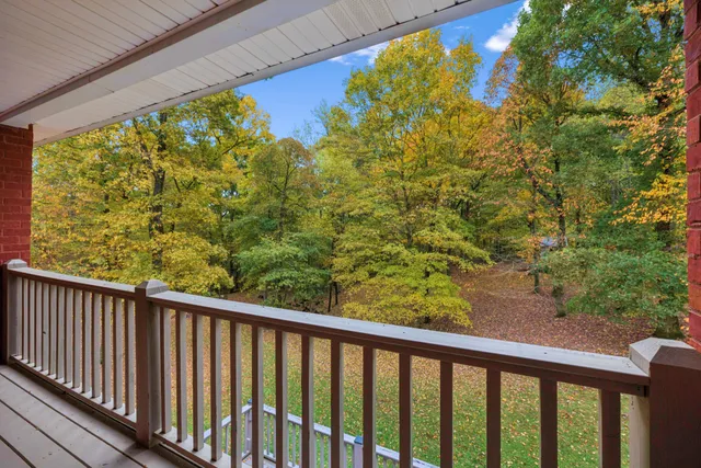 a view of a backyard with plants and large trees