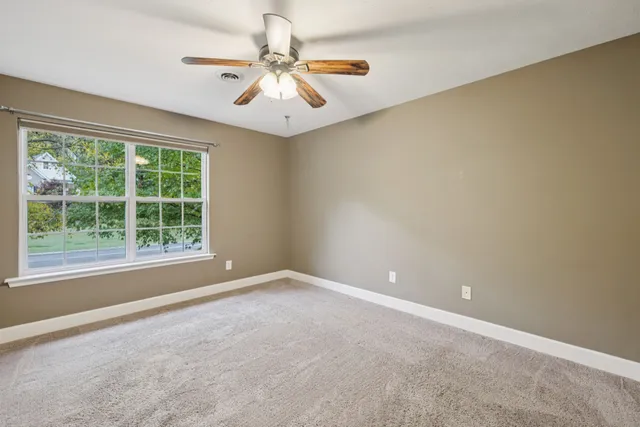 a view of a yard with plants and trees