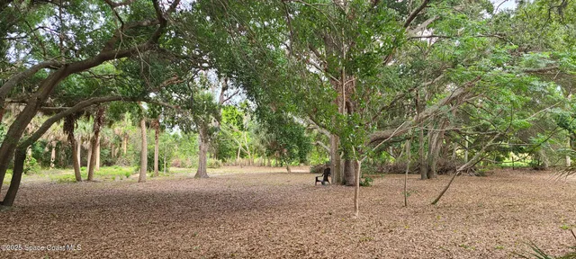 a view of a forest with trees