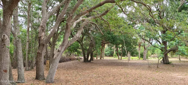 a view of swimming pool with a garden