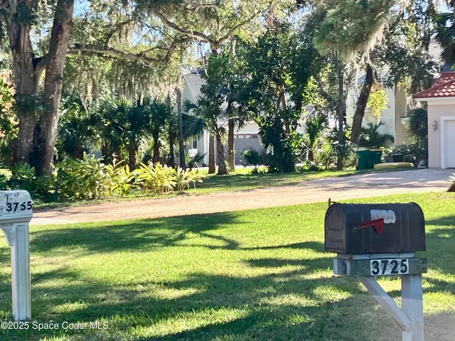 a view of swimming pool with lawn chairs and plants