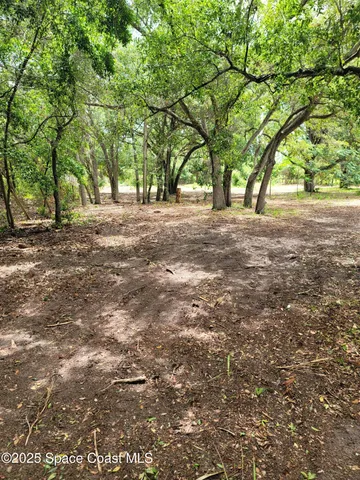 a view of outdoor space and trees