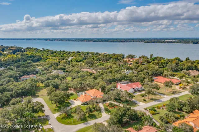 a view of a yard with plants and large trees