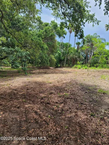 a view of a yard with a tree