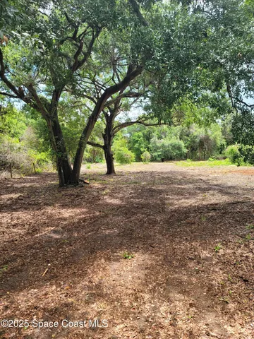 a view of outdoor space with trees