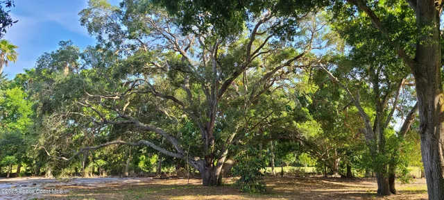a view of outdoor space with trees