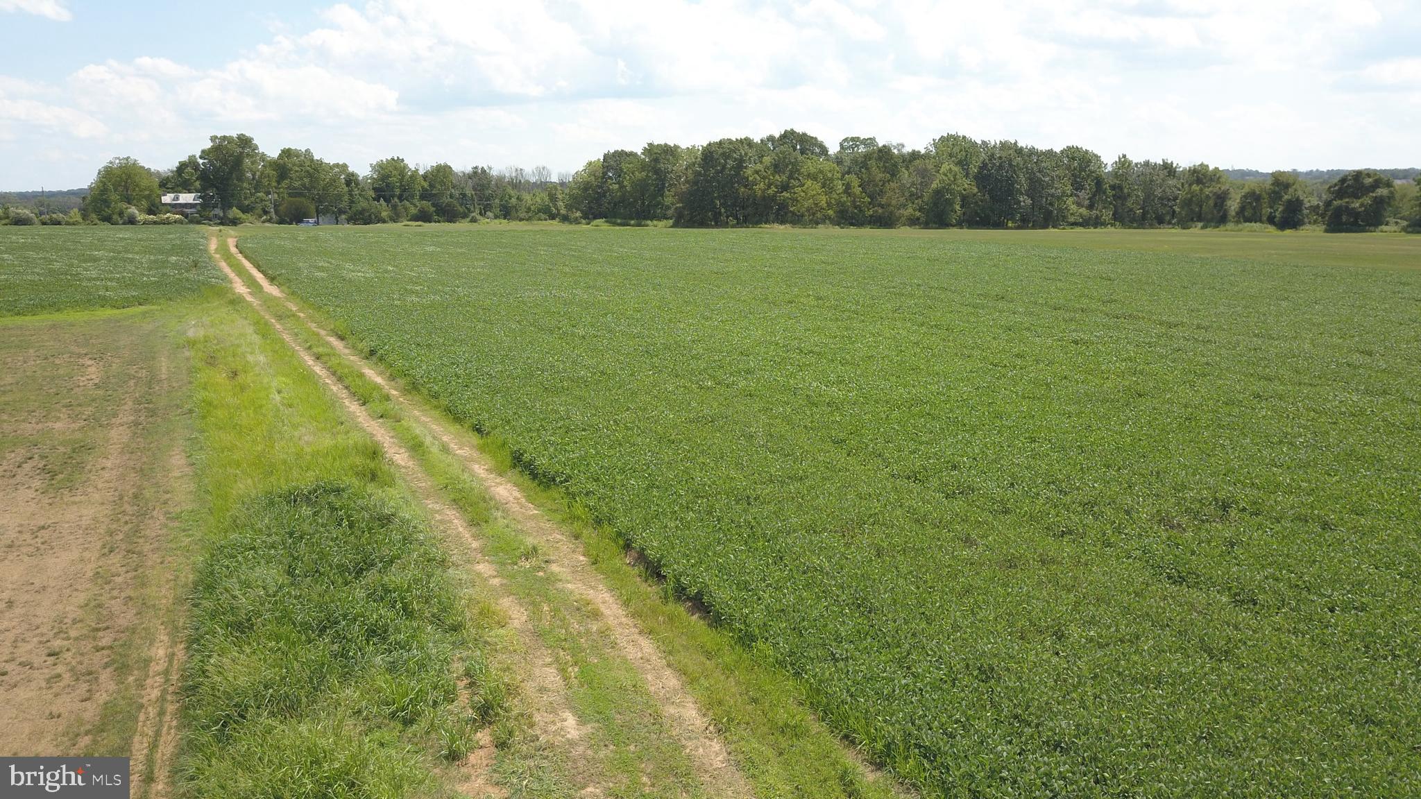 Lot 96 New Hope Road New Hope, PA 18938 - Photo 2 of 6
