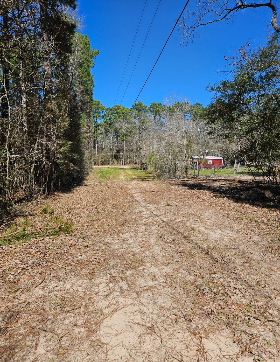 0 Reedwood Montgomery, TX 77356 - Photo 3 of 6