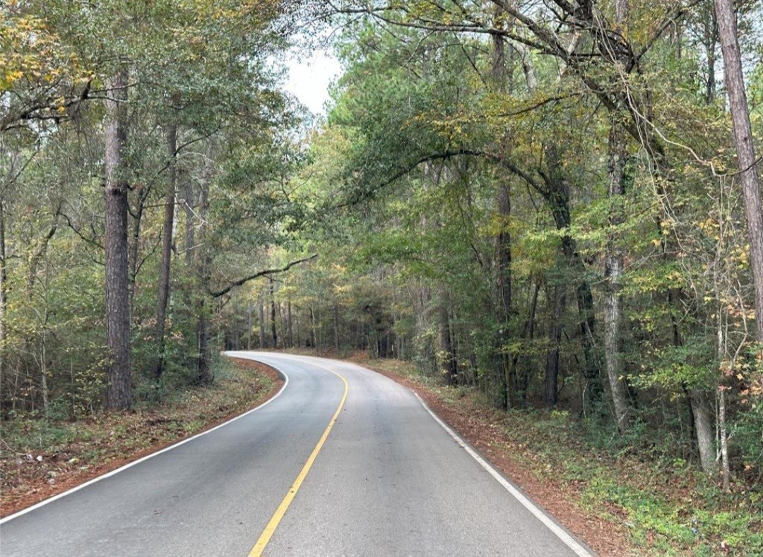 0 Reedwood Montgomery, TX 77356 - Photo 6 of 6