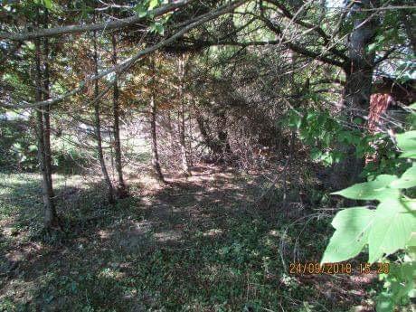 153 Ridge Road Oakfield, ME 04763 - Photo 15 of 20 11855B16-14D3-4BA8-98E0-E0F305232B41