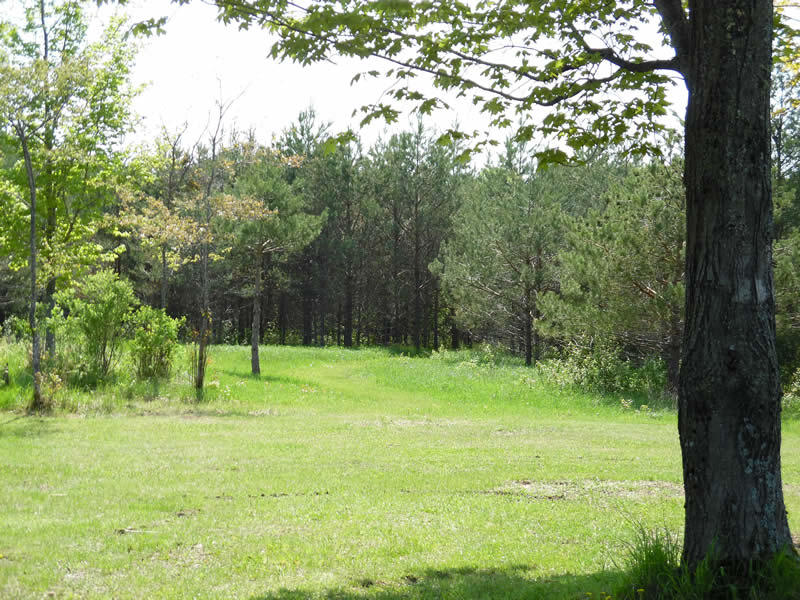 3959 North Webb Road Hessel, MI 49745 - Photo 26 of 28 Gallery Image 26