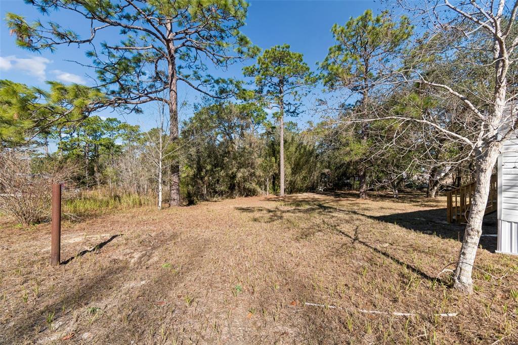 5464 South Wilson Point Homosassa, FL 34446 - Photo 34 of 39 a view of backyard space