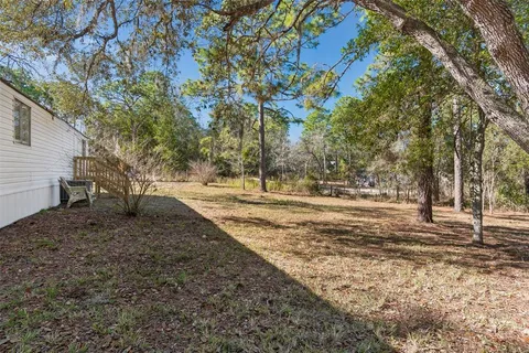 a view of a yard