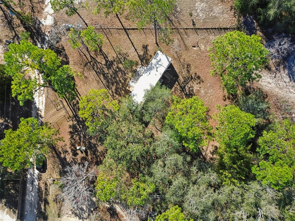 5464 South Wilson Point Homosassa, FL 34446 - Photo 39 of 39 a view of a yard