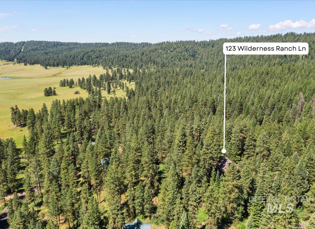 123 Wilderness Ranch Lane Cascade, ID 83611 - Photo 36 of 42