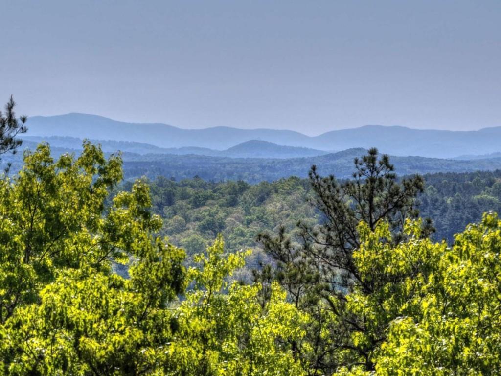 769 Voylestown Road Morganton, GA 30560 - Photo 6 of 67 Gallery Image 6