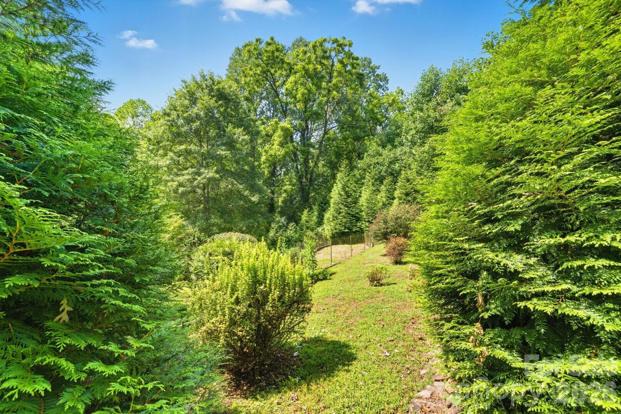 71 Laurel Mountain Road Brevard, NC 28712 - Photo 40 of 44
