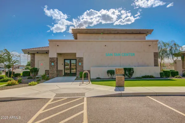 a group of trees sitting in a park