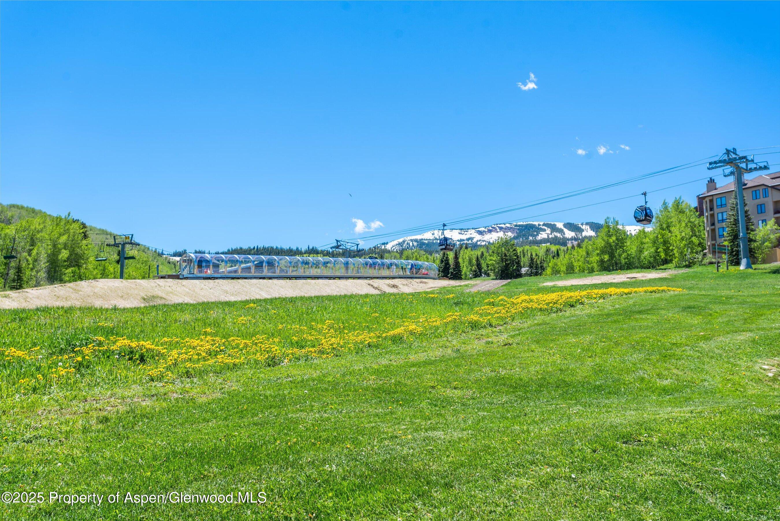 360 Wood Road, Unit 103 Snowmass Village, CO 81615 - Photo 11 of 11 01-02-360WoodRd103_240605003