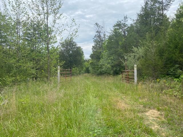2938 Cagle Road Tellico Plains, TN 37385 - Photo 9 of 11