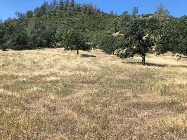 25252 Jerusalem Grde Lower Lake, CA 95457 - Photo 1 of 1 a view of a snow covered with snow in front of house