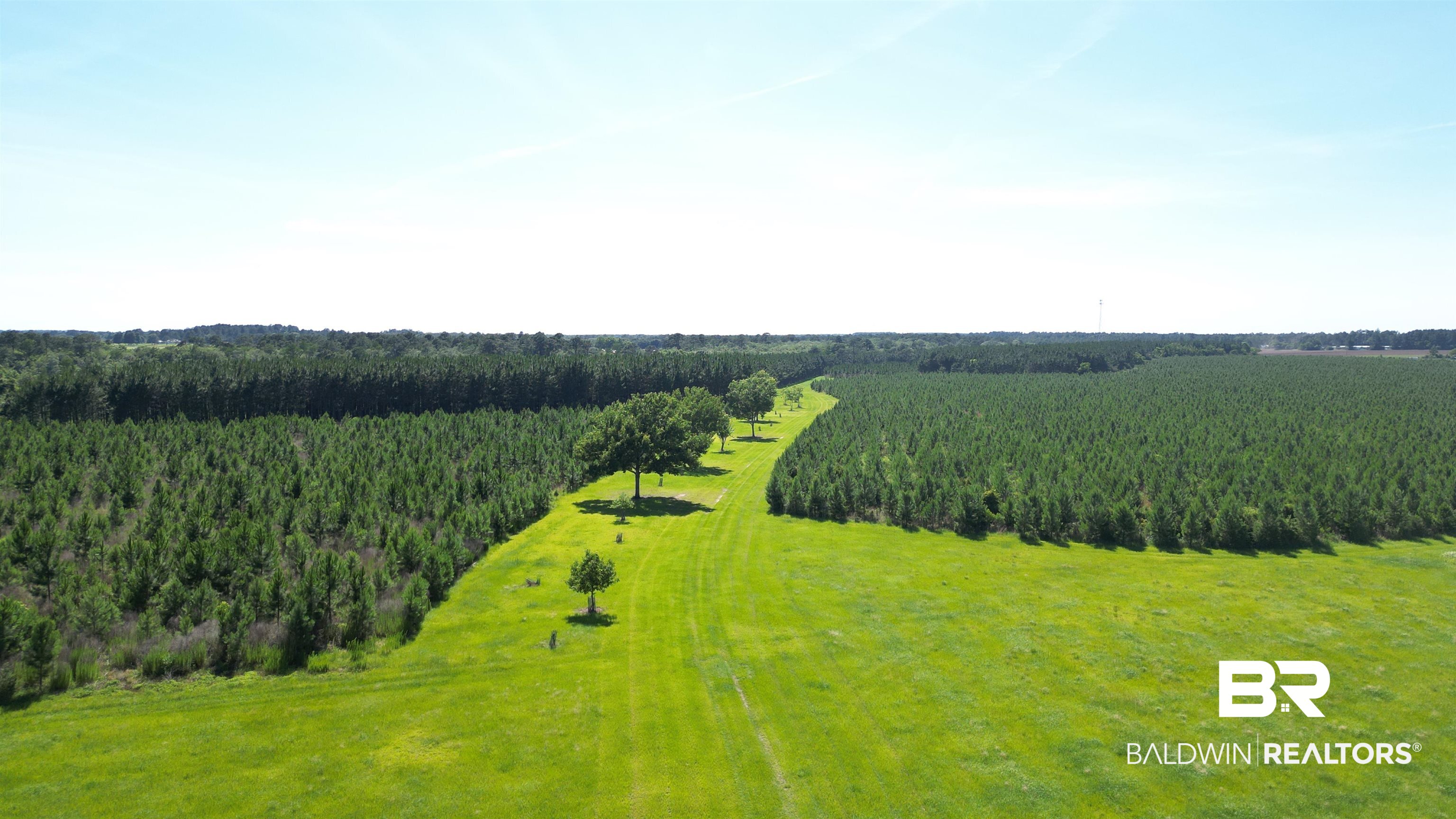0 County Road 87 Elberta, AL 36530 - Photo 2 of 46