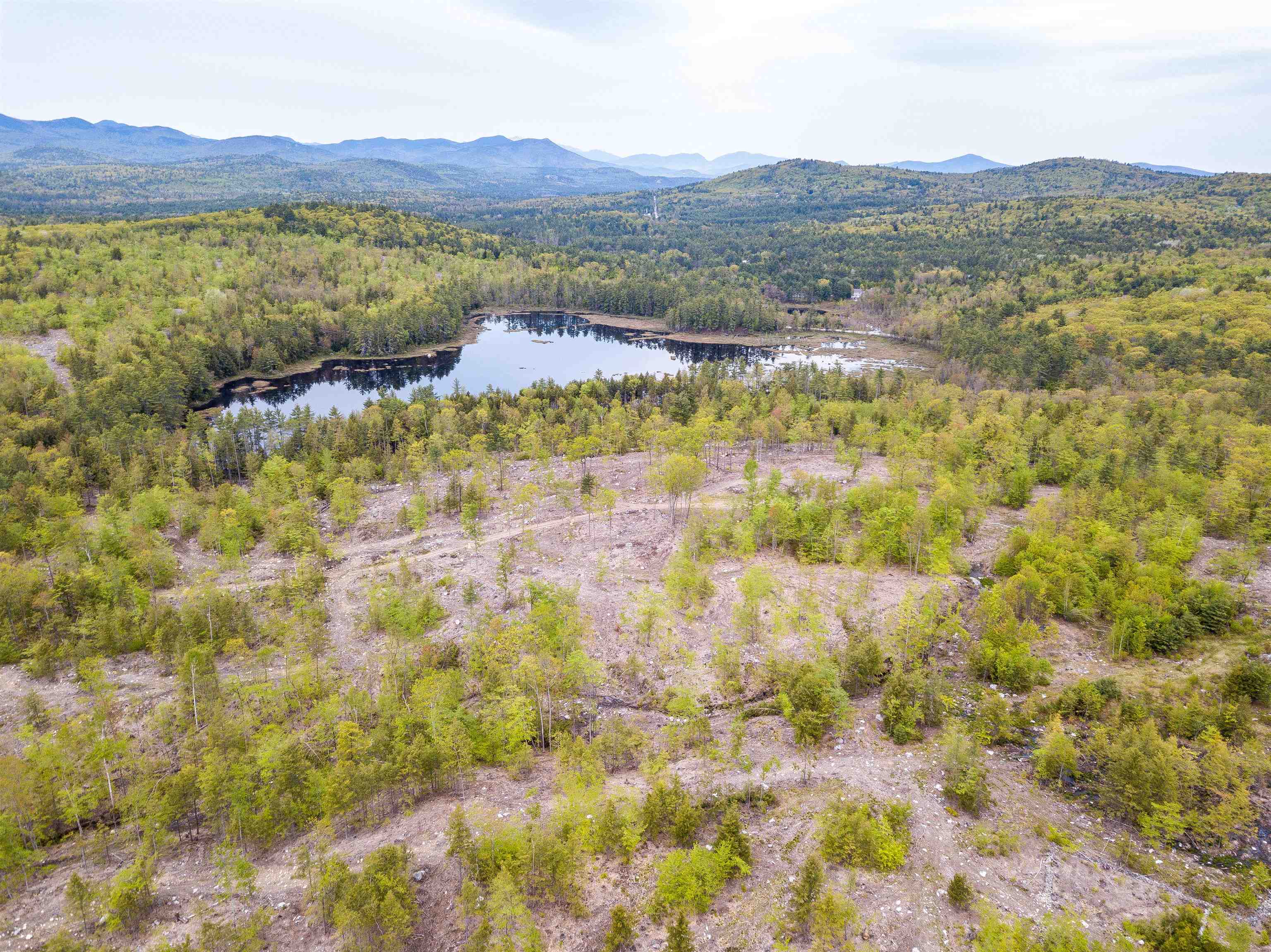 0 Lead Mine Road Silver Lake, NH 03875 - Photo 5 of 26