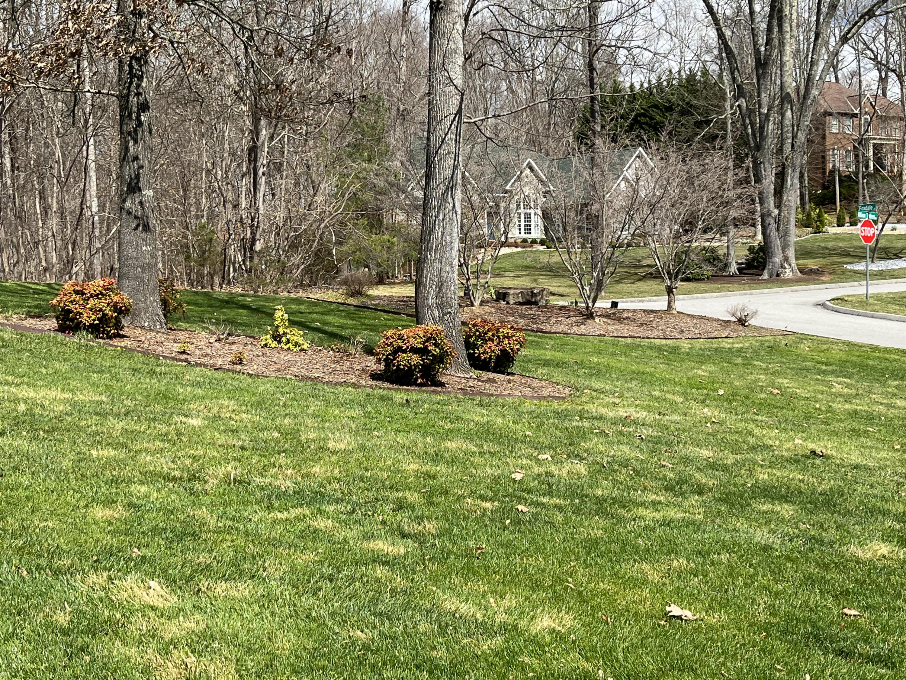 140 Allison Timbers Road Piney Flats, TN 37686 - Photo 6 of 38 unnamed (4)