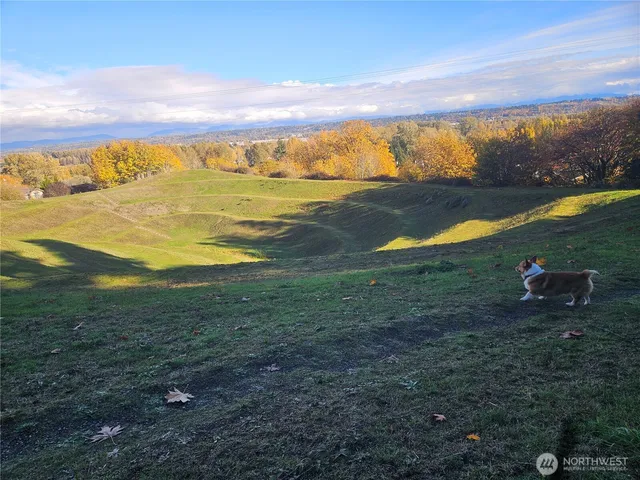 a view of outdoor space with signage and flags