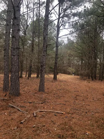 $59,900 | 4.17-acres Starr Hinson Road, Thomson, GA 30824