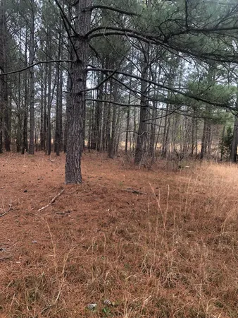 $59,900 | 4.17-acres Starr Hinson Road, Thomson, GA 30824