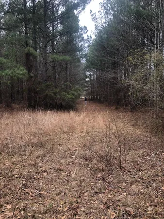 $59,900 | 4.17-acres Starr Hinson Road, Thomson, GA 30824
