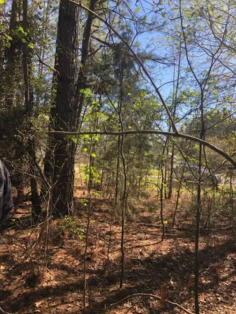 $59,900 | 4.17-acres Starr Hinson Road, Thomson, GA 30824