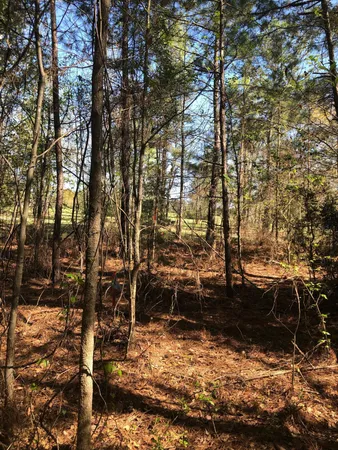 $59,900 | 4.17-acres Starr Hinson Road, Thomson, GA 30824