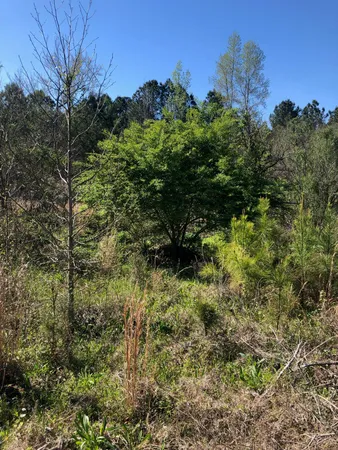 $59,900 | 4.17-acres Starr Hinson Road, Thomson, GA 30824