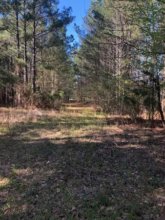 $59,900 | 4.17-acres Starr Hinson Road, Thomson, GA 30824