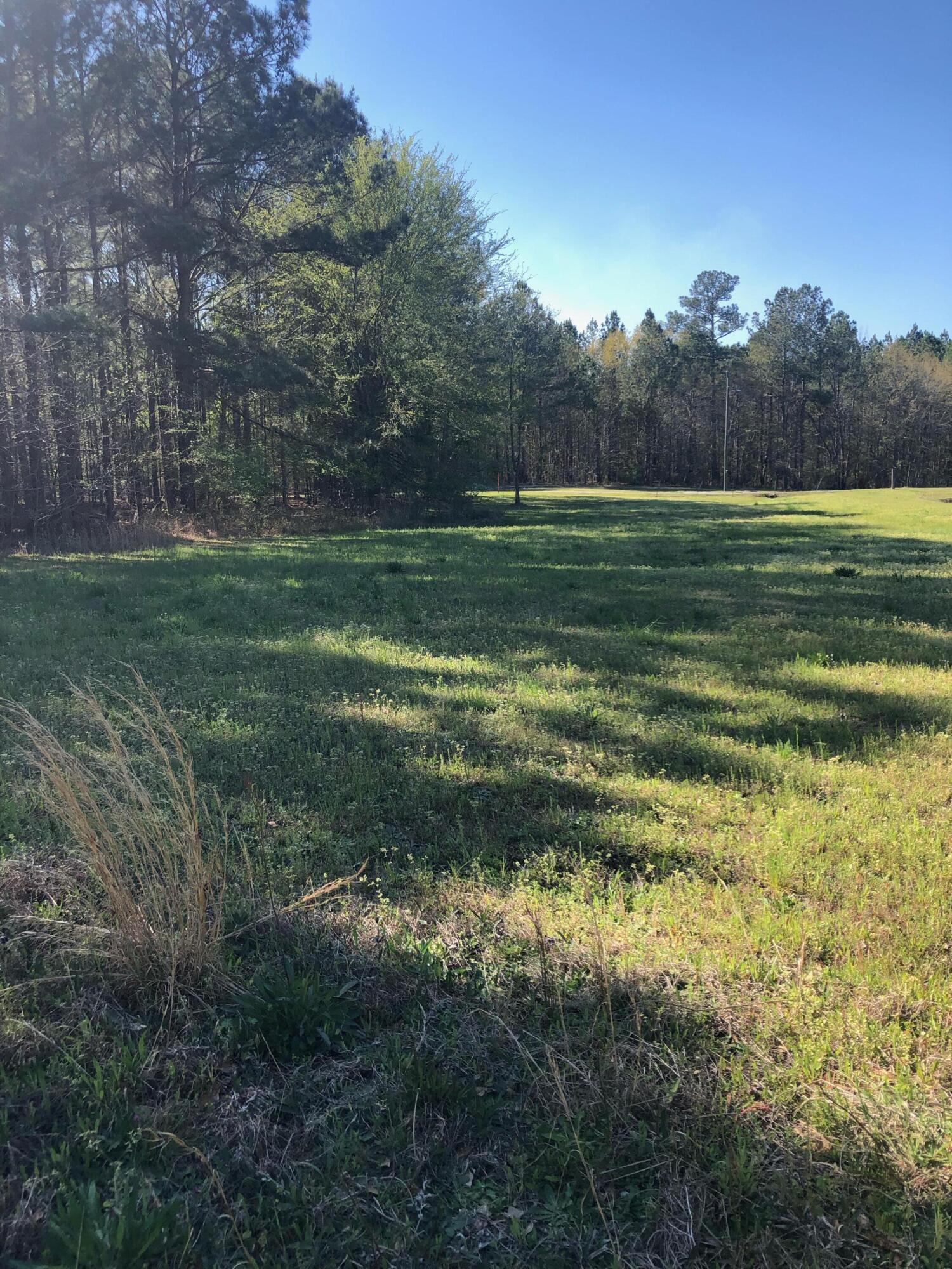 4.17-acres Starr Hinson Road Thomson, GA 30824 - Photo 2 of 17 back of property - beautiful for home site