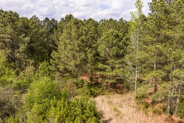 $59,900 | 4.17-acres Starr Hinson Road, Thomson, GA 30824