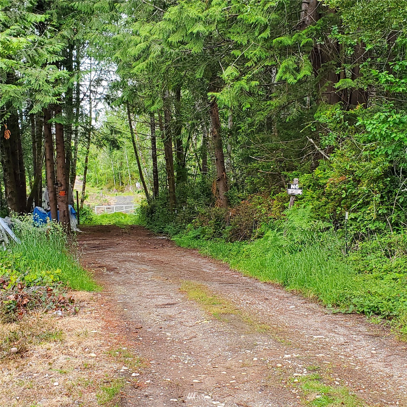 180 East Andrejs Road Shelton, WA 98584 - Photo 7 of 10 Gallery Image 7