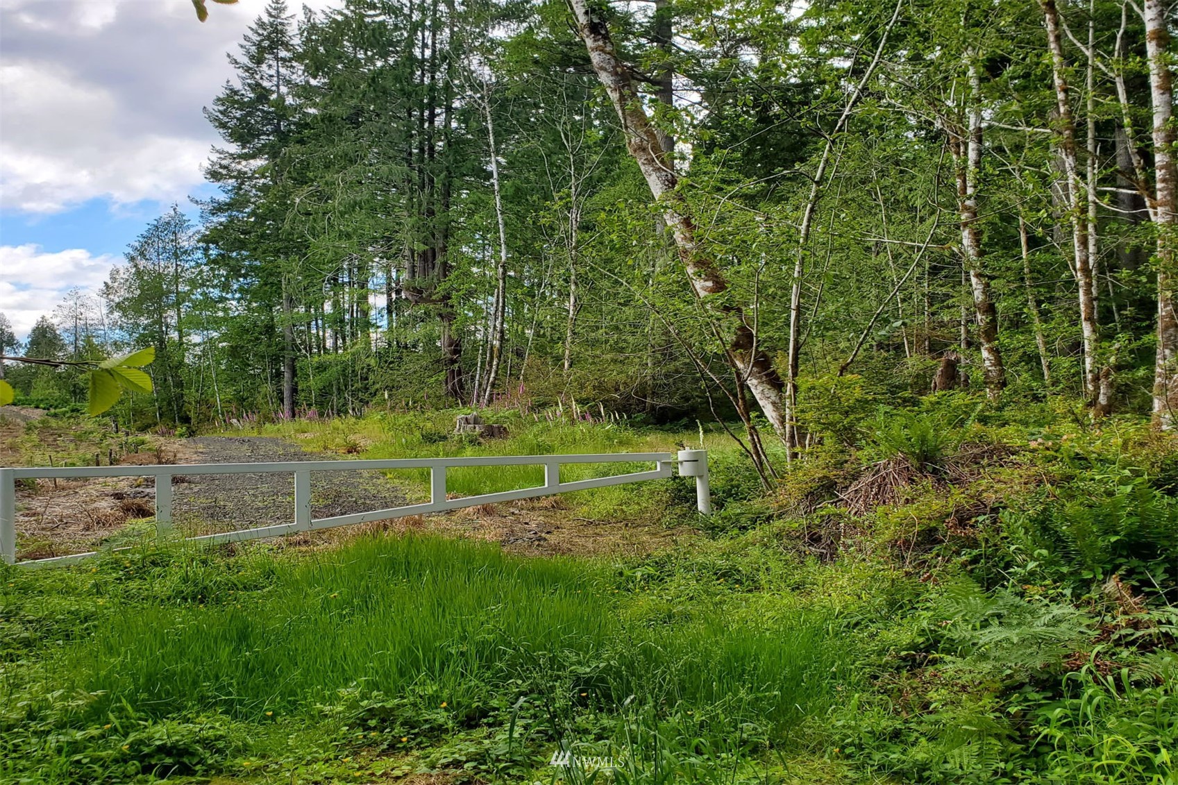 180 East Andrejs Road Shelton, WA 98584 - Photo 8 of 10 Gallery Image 8