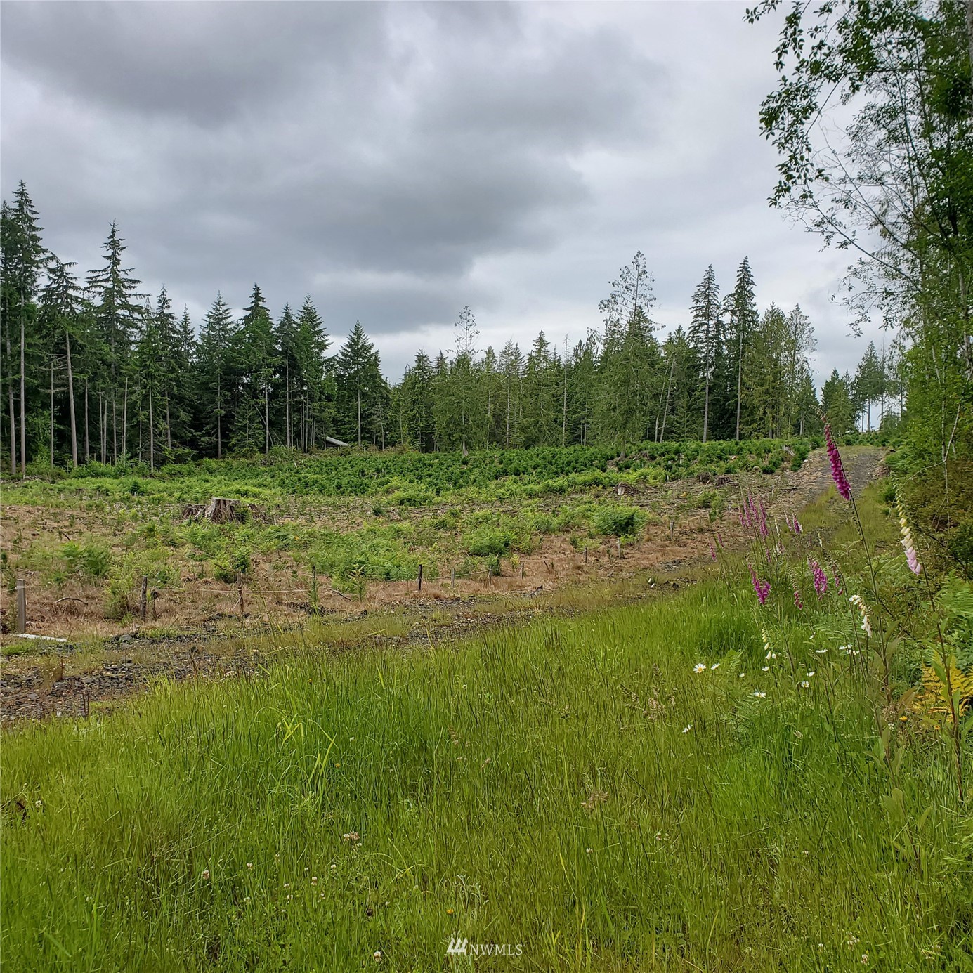 180 East Andrejs Road Shelton, WA 98584 - Photo 10 of 10 Gallery Image 10