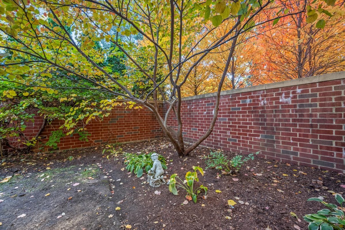 1107 Greenleaf Avenue, Unit 4G Wilmette, IL 60091 - Photo 6 of 8 a backyard of a house with lots of green space