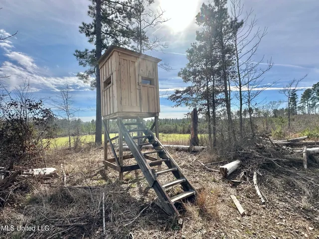 $1,375,000 | 3 Dry Grove Road, Terry, MS 39170